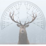 Telegram profile photo for Verheldering in levensvragen ~ opstellingen~gesprek~verbinding