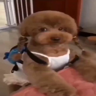 Telegram profile photo for Дабстеп и блинчики