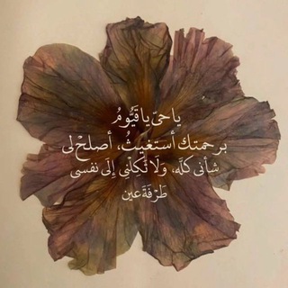 Telegram profile photo for ختم القرآن 💗💗💗