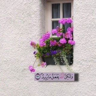 Telegram profile photo for 💙 الدعوة إلى الله🌿🌸