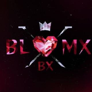 Telegram profile photo for BLOOMX