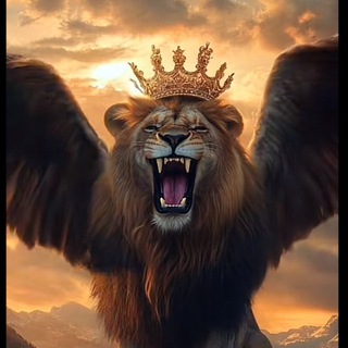 Telegram profile photo for الثقة أبو أسد 🦁