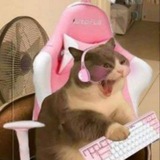 Telegram profile photo for MeowMeowRin