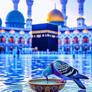 Telegram profile photo for خلاصة الكتب