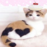 Telegram profile photo for Лаки царь