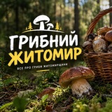 Telegram profile photo for Грибники Житомирщини