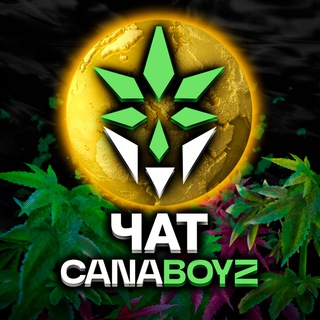Telegram profile photo for AirCNB Ecosystem Official