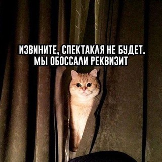 Telegram profile photo for рмт мемы на каждый день