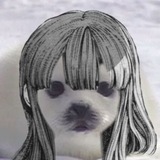 Telegram profile photo for yippie world