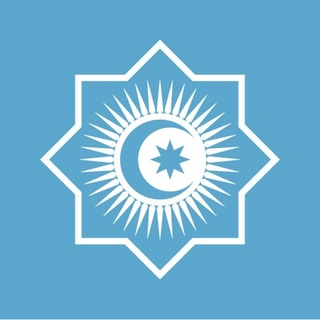 Telegram profile photo for Turk Organisations/AntiRussianPolitics