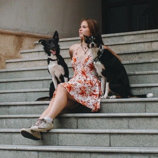 Telegram profile photo for Run It Out