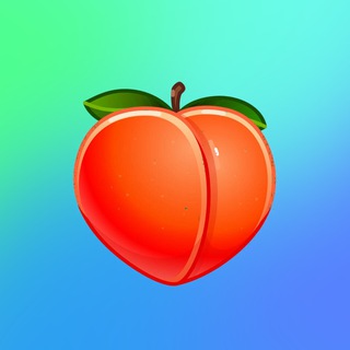 Telegram profile photo for SLVBLOG Проекты 🔥