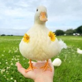 Telegram profile photo for My Randoms