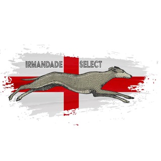 Telegram profile photo for IRMANDADE SELECT