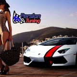 Telegram profile photo for Persian Tuning