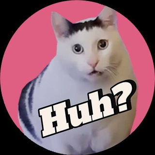 Telegram profile photo for Huh Cat PORTAL