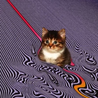 Telegram profile photo for Cat clout
