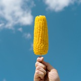 Telegram profile photo for 🌽 Кукуруза ТомаКруза. Коррекция веса и пищевого поведения