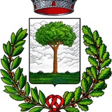 Telegram profile photo for Comune di Pianfei