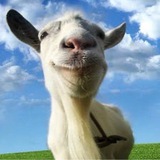 Telegram profile photo for Шкаф с соленьями