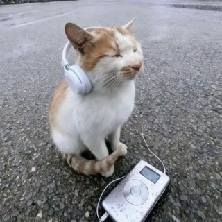 Telegram profile photo for викуша типа переезд