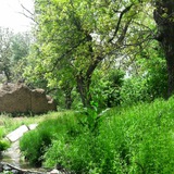 Telegram profile photo for اعلانات روستای تاکند