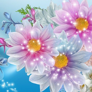 Telegram profile photo for مدرسة الرسالة الابتدائية للبنات🌹🌹🌹