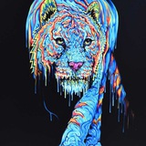 Telegram profile photo for Tiger Tiger, burning bright ✨✨✨