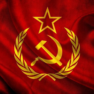 Telegram profile photo for DT VENTURES
