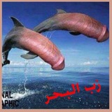 Telegram profile photo for الأزباب تهاجم،