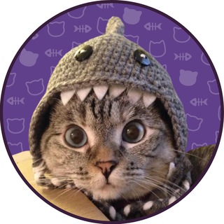 Telegram profile photo for Nala $NALA