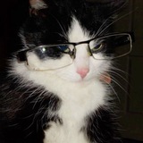 Telegram profile photo for съел собаку, рассказываю