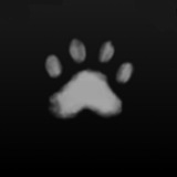 Telegram profile photo for ᅠ ︎ ︎ ︎ ︎ ᅠ ︎ ︎ ︎ ︎ ᅠ ︎ ︎ ︎ ︎ ᅠ ︎ ︎ ︎ ︎ ᅠ