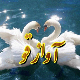 Telegram profile photo for آواز قو🦢