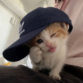 Telegram profile photo for Полина – дизайн & лайф