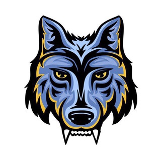 Telegram profile photo for Александр Вольф