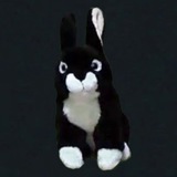 Telegram profile photo for Hase du bleibst hier !!