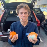 Telegram profile photo for смішнявки (приколи)
