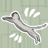 Telegram profile photo for 🐈⬛Монечка🐈