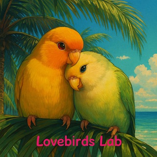 Telegram profile photo for Lovebirds Lab Попугаи