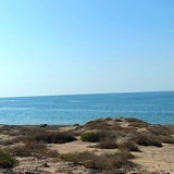 Telegram profile photo for دپارتمان روان