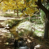 Telegram profile photo for کانال Mazyak/مزيک