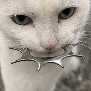 Telegram profile photo for ВАНЯ КОМА