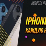 Telegram profile photo for Vovan акции с дополнительными фриспинами