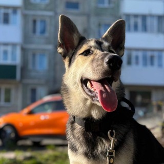 Telegram profile photo for Кадры герды