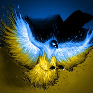 Telegram profile photo for PS TV