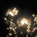 Telegram profile photo for “ 04:07 .. connected ”
