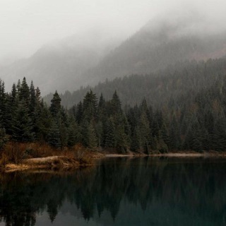 Telegram profile photo for зелёное море тайги