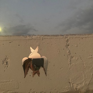 Telegram profile photo for Не в бровь/а в глаз