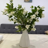 Telegram profile photo for Красота в глазах смотрящего☘️